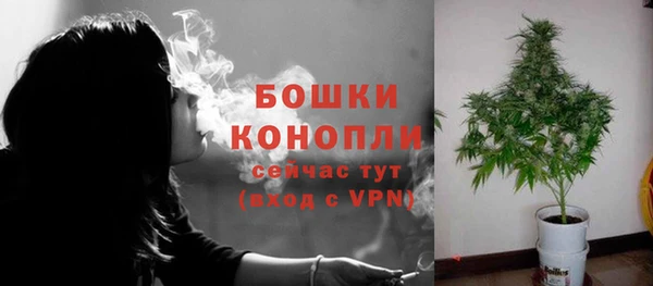 мдпв Липки