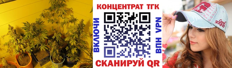 Купить закладки  Новомосковск  Дистиллят ТГК THC oil 